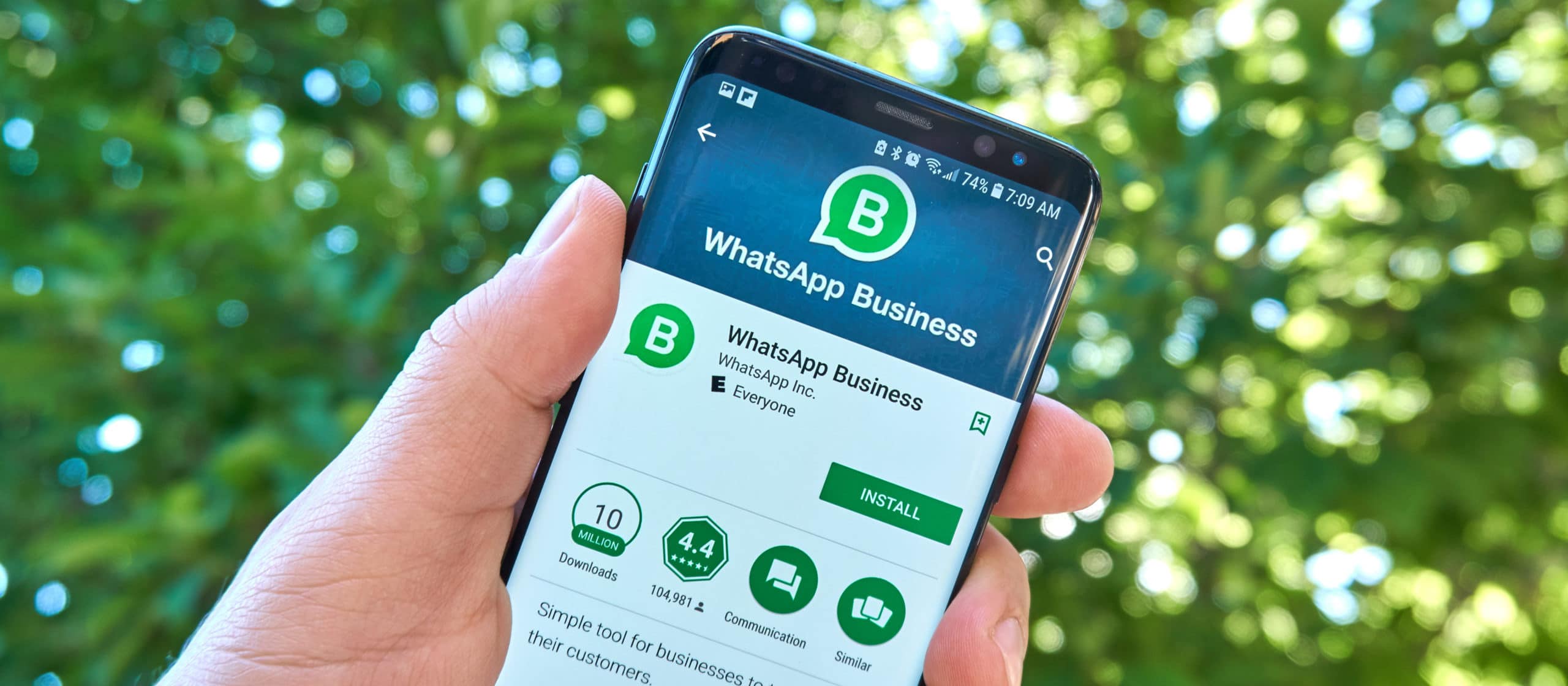 Whatsapp business apk